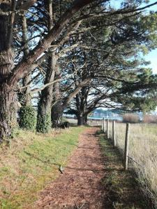 Chalets Chalet cosy, plages a pieds. Morbihan. : photos des chambres