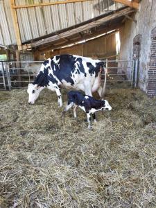 Sejours a la ferme ferme pedagogique des pennetieres : photos des chambres