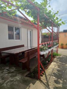 Casa EliAndrei