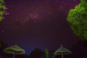 Africa Safari Selous Camping