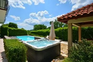 Villa Bisko with heated pool & jacuzzi - Trilj