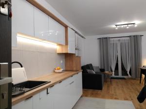 nowy apartament Płomykówka w Willi Sowiej