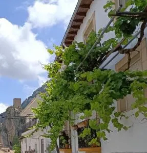 Casa de la Parra - La Iruela