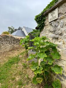 Appartements « La Casa Normande » entre Ville & Plages : photos des chambres