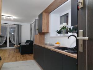 nowy Apartament Willa Sowia z widokiem na Śnieżnik