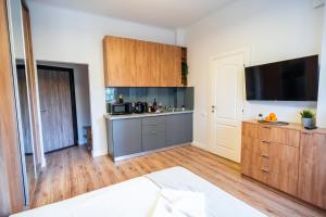 Cozy Apartments near Calea Victoriei