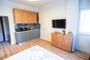 Cozy Apartments near Calea Victoriei