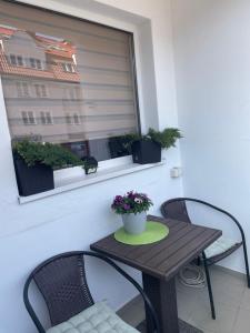 Apartament Lopuskiego 16