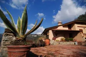 Conca di Sopra Home - Stiava