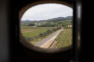 Villas les vignes rouges : photos des chambres