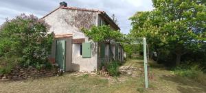 Maisons de vacances Cabanon L'Olivier : photos des chambres