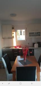Apartmani Kate