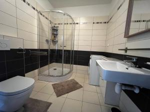 Apartment Spa and Fontain Poděbrady