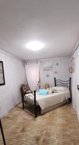 Magnolia casa di campagna Costa dei Trabocchi