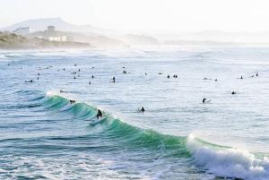 Appartements Calme en plein coeur de Biarritz : photos des chambres