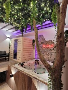 Love hotels Grenoble LA SUITE 2 spa jaccuzzi et sauna privatif : photos des chambres