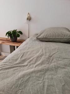 Calm and idyllic surroundings in Northen Jutland