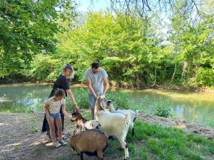 Maisons de vacances Au Domaine du Predieu : photos des chambres