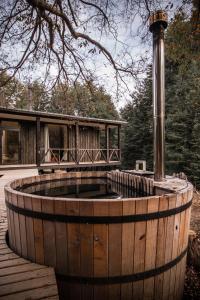 Refugio Austral Coigües en Corralco