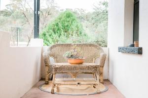 The Secret Figtree Cottage