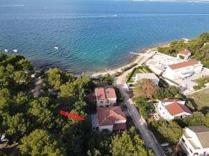 Apartments by the sea Susica, Ugljan - 21389