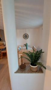 Casa Azinheira - Albufeira