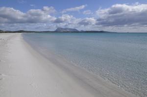 Le Villette di San Teodoro img27