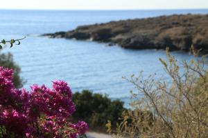 Agerino Naxos Greece