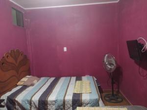 flying monkey hostel