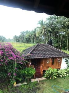 Provok bungalows