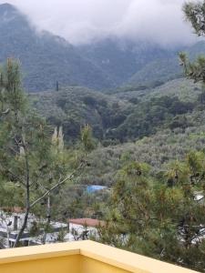 Sarı Konak Butik Otel