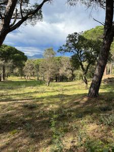 Appartements Mobil-home Parc Montana Gassin : photos des chambres