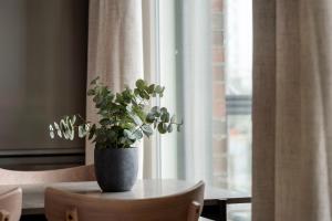 Bright studio apartment near the centre