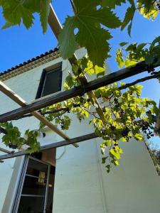 Maisons de vacances Country house with vineyard views near Gigondas : photos des chambres