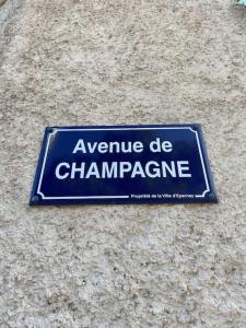 Appartements Escale au coeur du Vignoble Champenois : photos des chambres