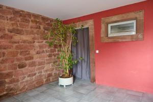 Appartements Le Noyer - Appt avec terrasse et jardin partage : Appartement 1 Chambre