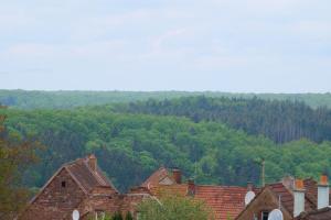 Appartements Le Pommier - Appt avec jardin partage : photos des chambres