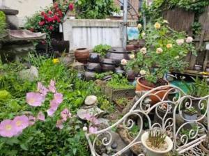 Beautiful Garden Fine Day House