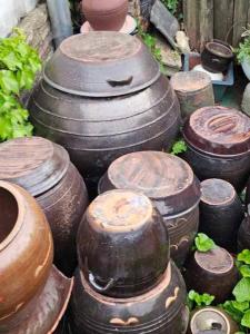 Beautiful Garden Fine Day House