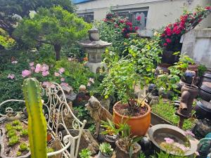 Beautiful Garden Fine Day House