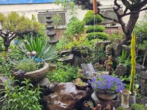 Beautiful Garden Fine Day House