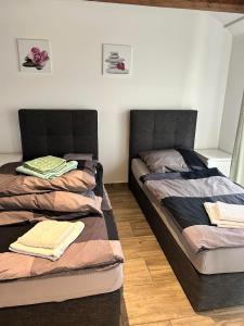 Nice studio in Pankow