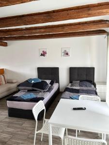 Nice studio in Pankow