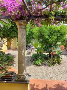 L'AGRUMETO SEGRETO img19