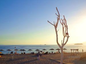 Blue Harmony Apartments Naxos Greece