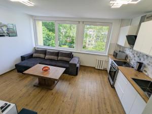 Lovely 2-bedroom flat in the heart of Druskininkai