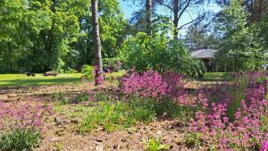Domek Leśny bungalow