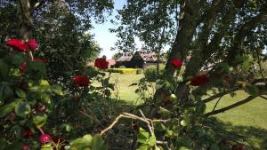 Owls Nest - Peace and Tranquility near Woodbridge & Framlingham in rural Suffolk