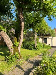 Haus und Wohnung "Ohuus" für 6 Pers mit Garten