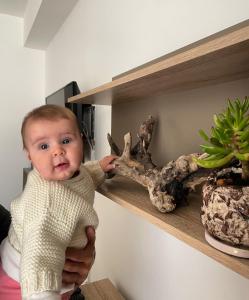 Hana Apartment Ohrid